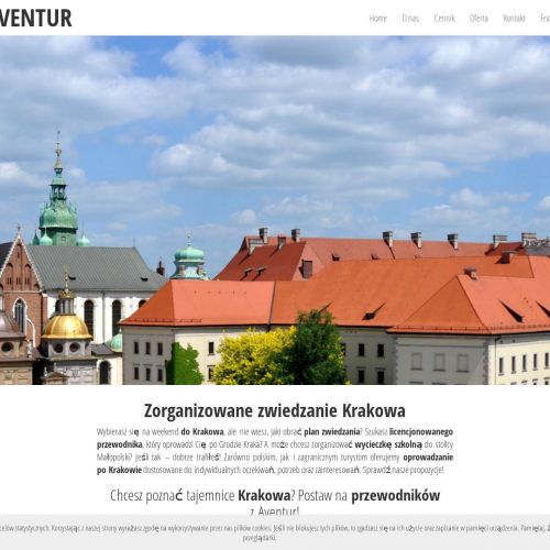 Przewodnik francuski - Kraków