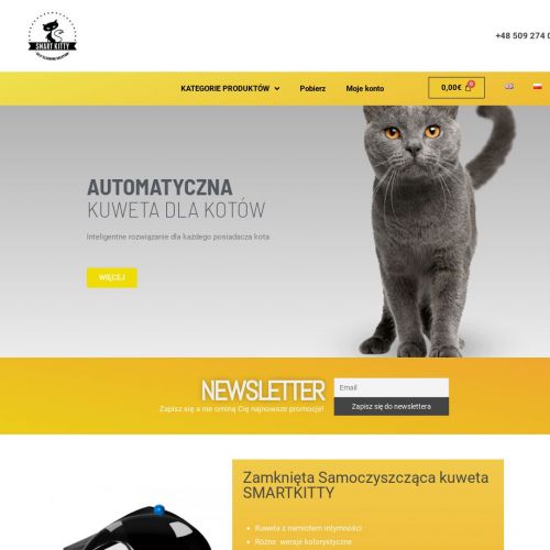 Stylowa kuweta dla kota