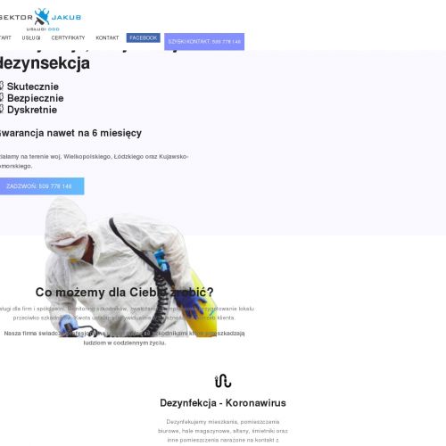 Deratyzacja w Koninie