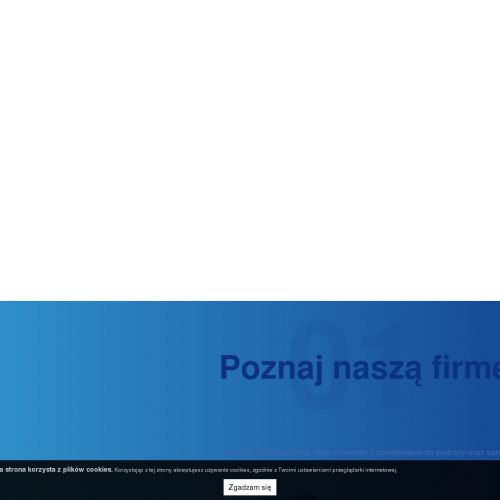 Mały kamper wynajem - Katowice