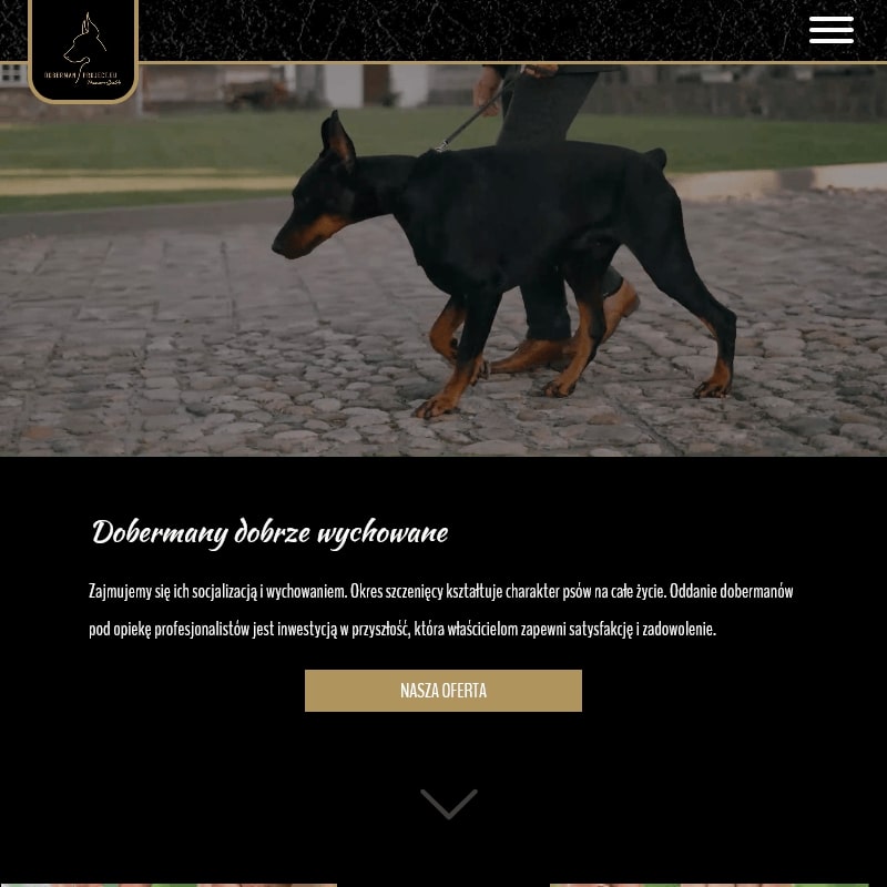 Hodowla doberman