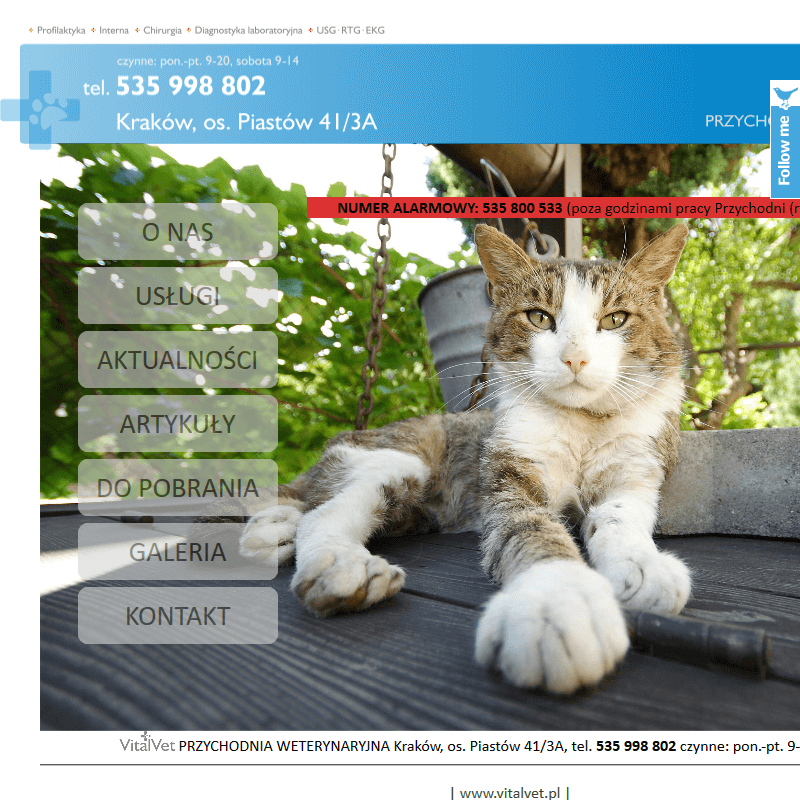 Kraków - weterynarz 24h